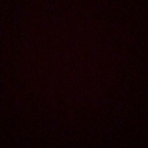 Meet your Posher, Oscar